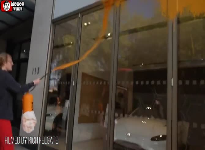 Video :An Aston Martin gets painted in London by a Just Stop Oil campaigner